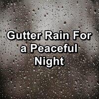 Gutter Rain For a Peaceful Night