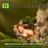 Baby Lullaby: Bird Sounds and Calm Music For Baby Sleep, Soft Baby Lullabies For Deep Sleep, Natural Sleep Aid and Nature Sounds For Sleep
