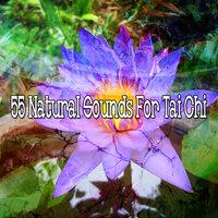55 Natural Sounds For Tai Chi