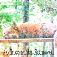 74 Insomnia Removal