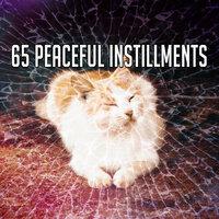 65 Peaceful Instillments