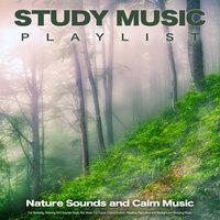 Study Music Playlist: Nature Sounds and Calm Music For Studying, Relaxing Bird Sounds Study Aid, Music For Focus, Concentration,  Reading, Relaxation and Background Studying Music