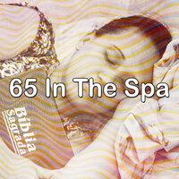 65 In the Spa