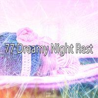 77 Dreamy Night Rest