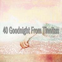 40 Goodnight From Tinnitus