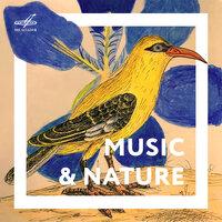 Музыка и природа