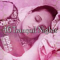 46 Tranquil Nights
