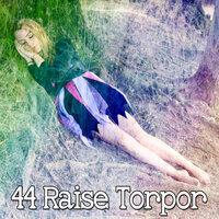 44 Raise Torpor