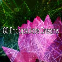 80 Encapsulate Dreams