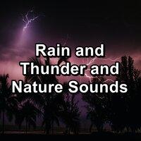 Rain and Thunder and Nature Sounds