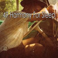 49 Harmony for Sle - EP
