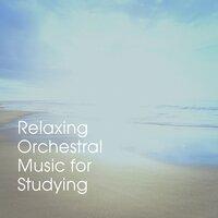Relaxing Orchestral Music for Studying