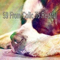 59 From Colic to Restful
