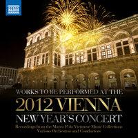 New Year in Vienna -  Viennese Light Music to be performed at the 2012 New Year's Concert