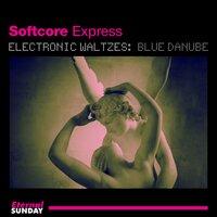 Electronic Waltzes: Blue Danube