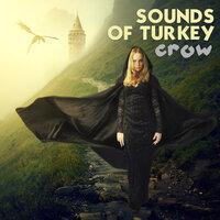Sounds Of Turkey