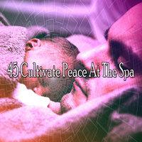 45 Cultivate Peace at the Spa