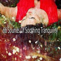 66 Sounds of Soothing Tranquility