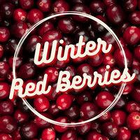 Winter Red Berries