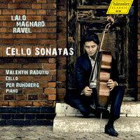 Cello Sonata in A Minor: I. Andante non troppo