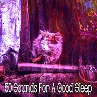 50 Sounds for a Good Sle - EP