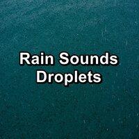 Rain Sounds Droplets