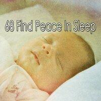 68 Find Peace in Sle - EP