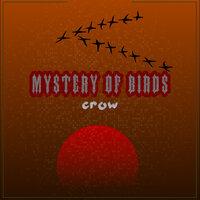 Mystery Of Birds