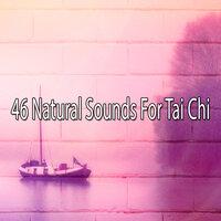 46 Natural Sounds for Tai Chi