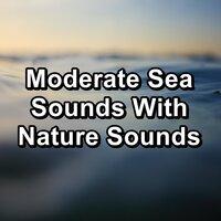 Moderate Sea Sounds With Nature Sounds