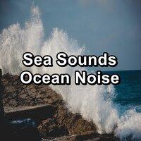 Sea Sounds Ocean Noise