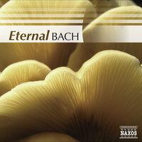 Bach (Eternal)