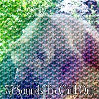 75 Sounds to Chill Out