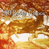 80 Raise Torpor