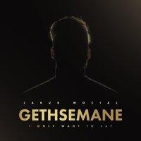 Gethsemane: I Only Want to Say