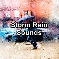 Storm Rain Sounds