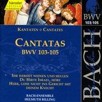 Bach, J.S.: Cantatas, Bwv 103-105