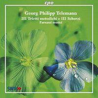 Telemann, G.P.: Chamber Music (Parnassi Musici)
