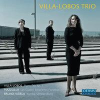 Villa-Lobos Trio