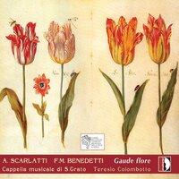 Scarlatti & Benedetti: Gaude flore