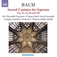 Bach, J.S.: Sacred Cantatas for Soprano