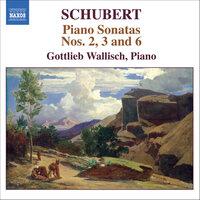 Schubert: Piano Sonatas Nos. 2, 3 and 6