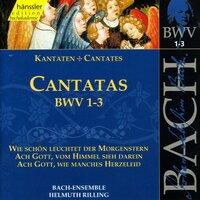 Bach, J.S.: Cantatas, Bwv 1-3