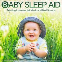 Baby Sleep Aid: Relaxing Instrumental Music and Bird Sounds For Baby Sleep, Natural Sleep Aid, Baby Lullabies and Baby Lullaby Music and Soothing Baby Sleep Music With Nature Sounds