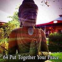 64 Put Together Your Peace