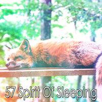 57 Spirit of Sleeping