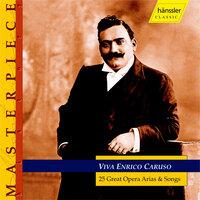 Caruso, Enrico: 25 Great Opera Arias and Songs
