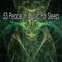 53 Peace in Music for Sle - EP