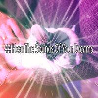 44 Hear the Sounds Of Your Dreams