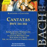Bach, J.S.: Cantatas, Bwv 161-164